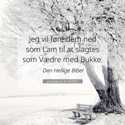 Picture 07 - Jeremias 51:40 DA1871 - Jeg vil føre dem ned som Lam til at slagtes som - Bible Verse Picture