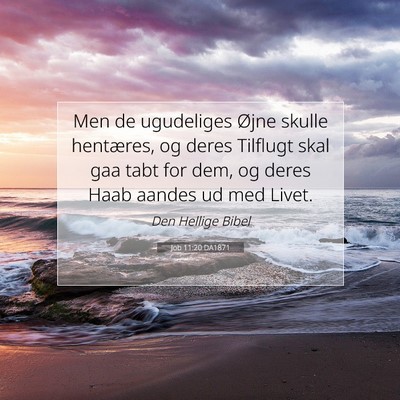 Picture 07 - Job 11:20 DA1871 - Men de ugudeliges Øjne skulle hentæres, og - Bible Verse Picture