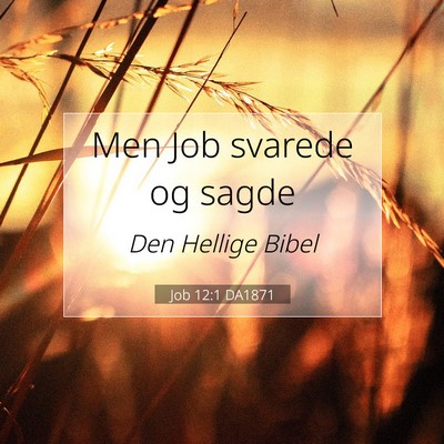 Picture 07 - Job 12:1 DA1871 - Men Job svarede og - Bible Verse Picture