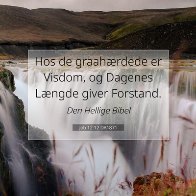 Picture 07 - Job 12:12 DA1871 - Hos de graahærdede er Visdom, og Dagenes Længde - Bible Verse Picture