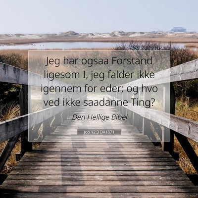 Picture 07 - Job 12:3 DA1871 - Jeg har ogsaa Forstand ligesom I, jeg falder ikke - Bible Verse Picture