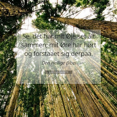 Picture 07 - Job 13:1 DA1871 - Se, det har mit Øje set alt sammen; mit Øre har - Bible Verse Picture