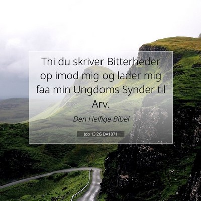 Picture 07 - Job 13:26 DA1871 - Thi du skriver Bitterheder op imod mig og lader - Bible Verse Picture