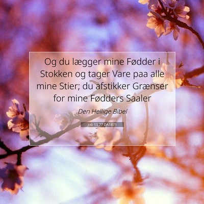 Picture 07 - Job 13:27 DA1871 - Og du lægger mine Fødder i Stokken og tager - Bible Verse Picture