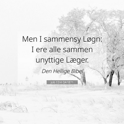 Picture 07 - Job 13:4 DA1871 - Men I sammensy Løgn: I ere alle sammen unyttige - Bible Verse Picture