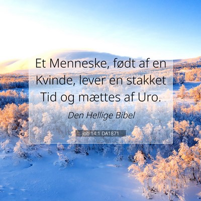 Picture 07 - Job 14:1 DA1871 - Et Menneske, født af en Kvinde, lever en stakket - Bible Verse Picture