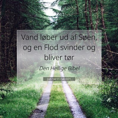 Picture 07 - Job 14:11 DA1871 - Vand løber ud af Søen, og en Flod svinder og - Bible Verse Picture