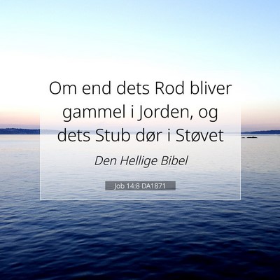 Picture 07 - Job 14:8 DA1871 - Om end dets Rod bliver gammel i Jorden, og dets - Bible Verse Picture