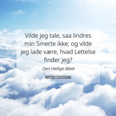 Picture 07 - Job 16:6 DA1871 - Vilde jeg tale, saa lindres min Smerte ikke; og - Bible Verse Picture