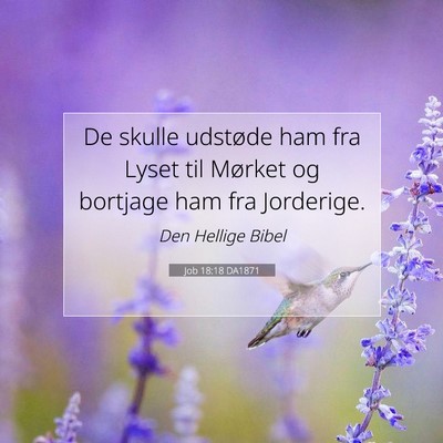 Picture 07 - Job 18:18 DA1871 - De skulle udstøde ham fra Lyset til Mørket og - Bible Verse Picture