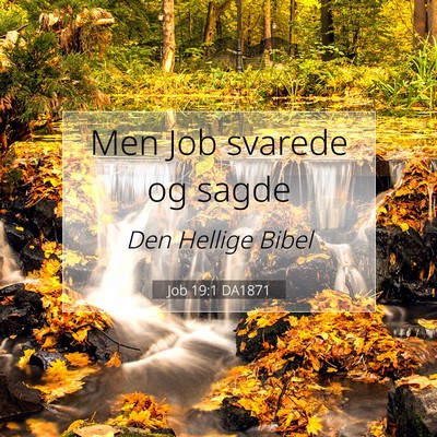 Picture 07 - Job 19:1 DA1871 - Men Job svarede og - Bible Verse Picture