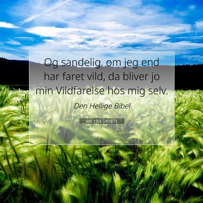 Picture 07 - Job 19:4 DA1871 - Og sandelig, om jeg end har faret vild, da bliver - Bible Verse Picture
