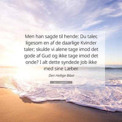 Picture 07 - Job 2:10 DA1871 - Men han sagde til hende: Du taler, ligesom en af - Bible Verse Picture