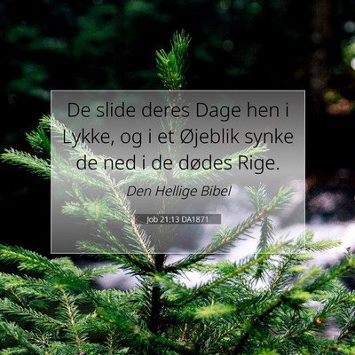 Picture 07 - Job 21:13 DA1871 - De slide deres Dage hen i Lykke, og i et Øjeblik - Bible Verse Picture