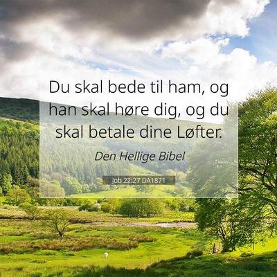 Picture 07 - Job 22:27 DA1871 - Du skal bede til ham, og han skal høre dig, og - Bible Verse Picture
