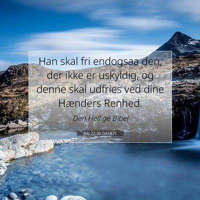 Picture 07 - Job 22:30 DA1871 - Han skal fri endogsaa den, der ikke er uskyldig, - Bible Verse Picture