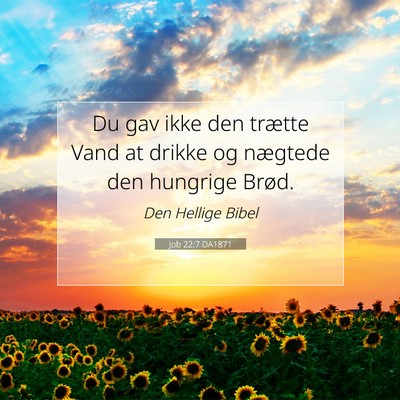 Picture 07 - Job 22:7 DA1871 - Du gav ikke den trætte Vand at drikke og - Bible Verse Picture
