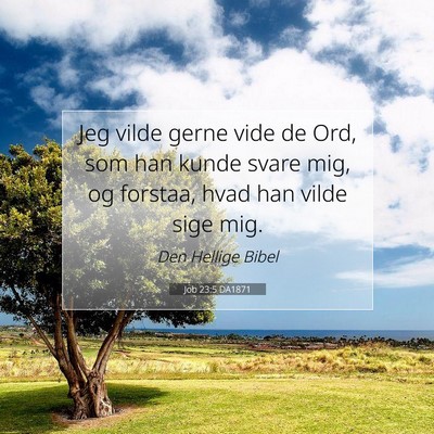 Picture 07 - Job 23:5 DA1871 - Jeg vilde gerne vide de Ord, som han kunde svare - Bible Verse Picture