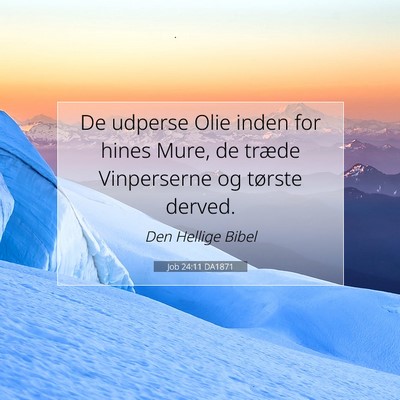 Picture 07 - Job 24:11 DA1871 - De udperse Olie inden for hines Mure, de træde - Bible Verse Picture