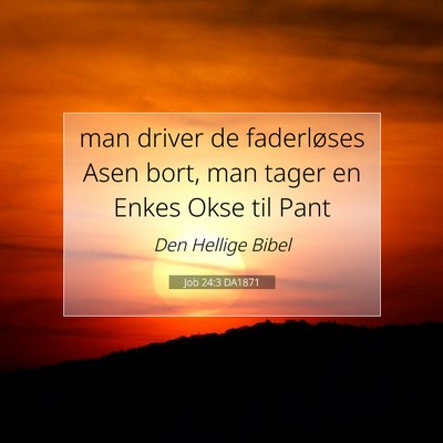 Picture 07 - Job 24:3 DA1871 - man driver de faderløses Asen bort, man tager en - Bible Verse Picture