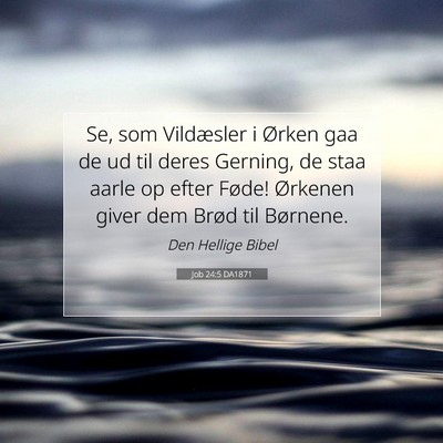 Picture 07 - Job 24:5 DA1871 - Se, som Vildæsler i Ørken gaa de ud til deres - Bible Verse Picture