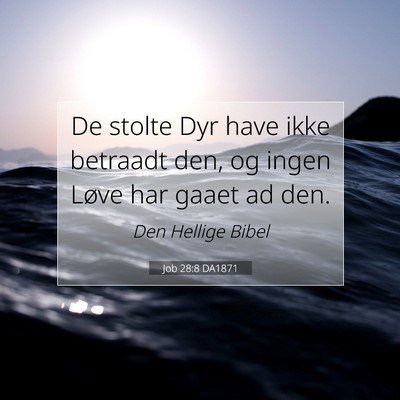 Picture 07 - Job 28:8 DA1871 - De stolte Dyr have ikke betraadt den, og ingen - Bible Verse Picture