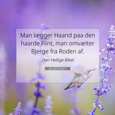 Picture 07 - Job 28:9 DA1871 - Man lægger Haand paa den haarde Flint, man - Bible Verse Picture