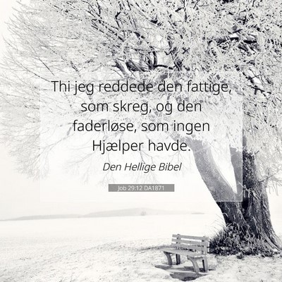 Picture 07 - Job 29:12 DA1871 - Thi jeg reddede den fattige, som skreg, og den - Bible Verse Picture