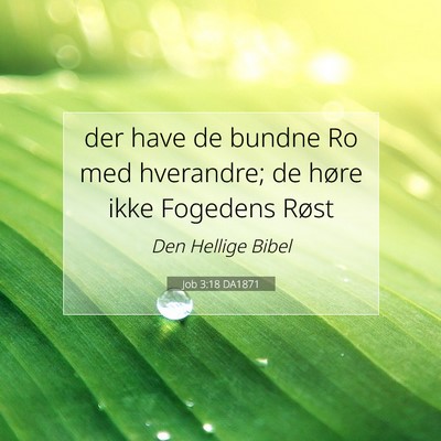 Picture 07 - Job 3:18 DA1871 - der have de bundne Ro med hverandre; de høre - Bible Verse Picture
