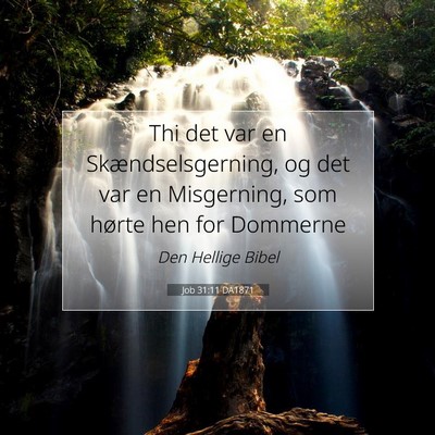 Picture 07 - Job 31:11 DA1871 - Thi det var en Skændselsgerning, og det var en - Bible Verse Picture