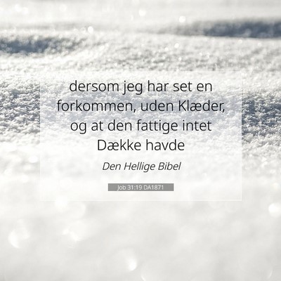 Picture 07 - Job 31:19 DA1871 - dersom jeg har set en forkommen, uden Klæder, og - Bible Verse Picture