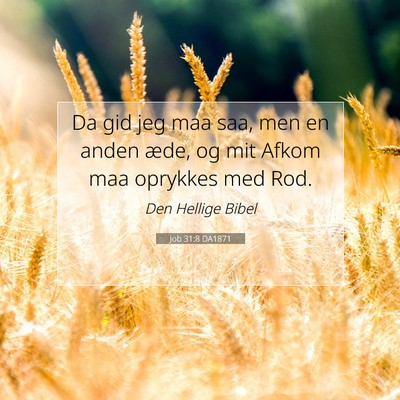 Picture 07 - Job 31:8 DA1871 - Da gid jeg maa saa, men en anden æde, og mit - Bible Verse Picture