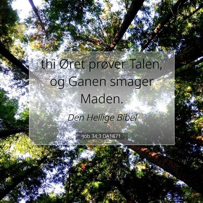 Picture 07 - Job 34:3 DA1871 - thi Øret prøver Talen, og Ganen smager - Bible Verse Picture