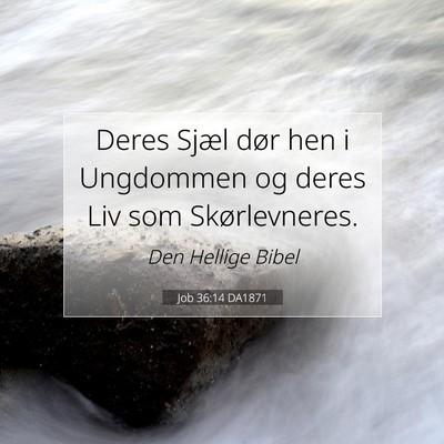 Picture 07 - Job 36:14 DA1871 - Deres Sjæl dør hen i Ungdommen og deres Liv som - Bible Verse Picture