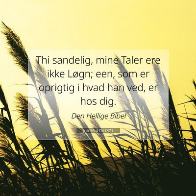 Picture 07 - Job 36:4 DA1871 - Thi sandelig, mine Taler ere ikke Løgn; een, som - Bible Verse Picture