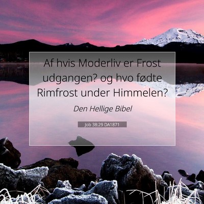 Picture 07 - Job 38:29 DA1871 - Af hvis Moderliv er Frost udgangen? og hvo fødte - Bible Verse Picture