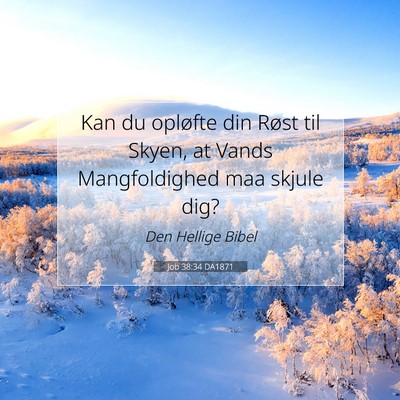 Picture 07 - Job 38:34 DA1871 - Kan du opløfte din Røst til Skyen, at Vands - Bible Verse Picture