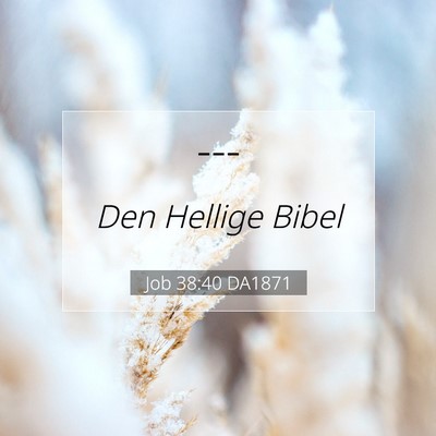 Picture 07 - Job 38:40 DA1871 -  - Bible Verse Picture