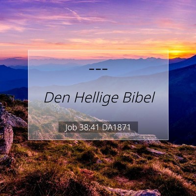 Picture 07 - Job 38:41 DA1871 -  - Bible Verse Picture