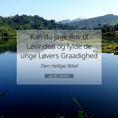 Picture 07 - Job 39:1 DA1871 - Kan du jage Rov til Løvinden og fylde de unge - Bible Verse Picture
