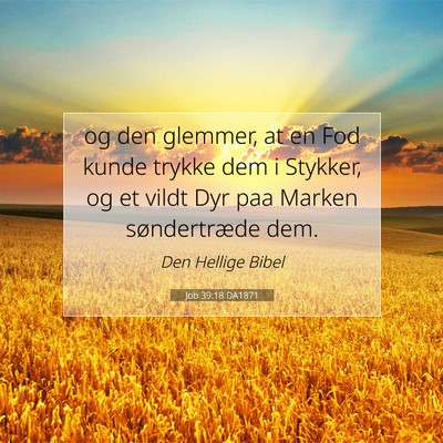 Picture 07 - Job 39:18 DA1871 - og den glemmer, at en Fod kunde trykke dem i - Bible Verse Picture
