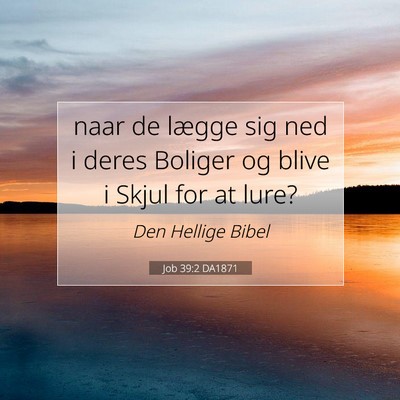 Picture 07 - Job 39:2 DA1871 - naar de lægge sig ned i deres Boliger og blive i - Bible Verse Picture