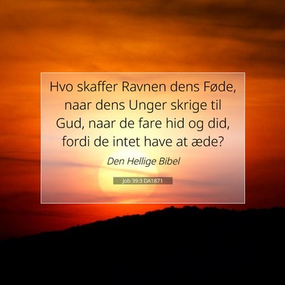Picture 07 - Job 39:3 DA1871 - Hvo skaffer Ravnen dens Føde, naar dens Unger - Bible Verse Picture