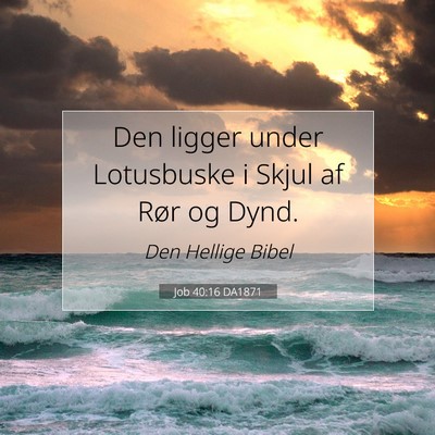 Picture 07 - Job 40:16 DA1871 - Den ligger under Lotusbuske i Skjul af Rør og - Bible Verse Picture