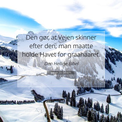 Picture 07 - Job 41:23 DA1871 - Den gør, at Vejen skinner efter den; man maatte - Bible Verse Picture