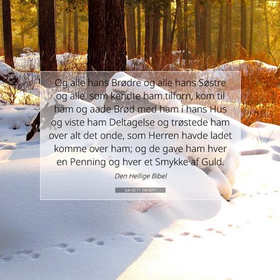 Picture 07 - Job 42:11 DA1871 - Og alle hans Brødre og alle hans Søstre og - Bible Verse Picture