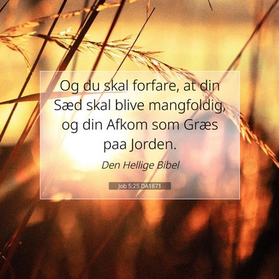 Picture 07 - Job 5:25 DA1871 - Og du skal forfare, at din Sæd skal blive - Bible Verse Picture