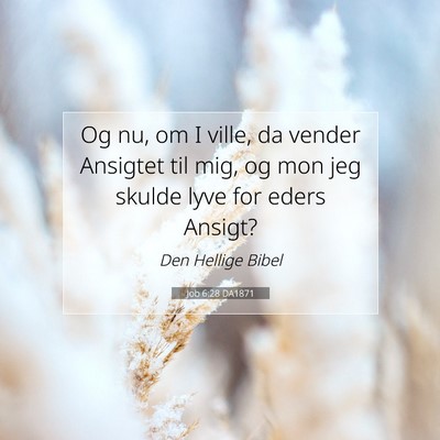 Picture 07 - Job 6:28 DA1871 - Og nu, om I ville, da vender Ansigtet til mig, og - Bible Verse Picture