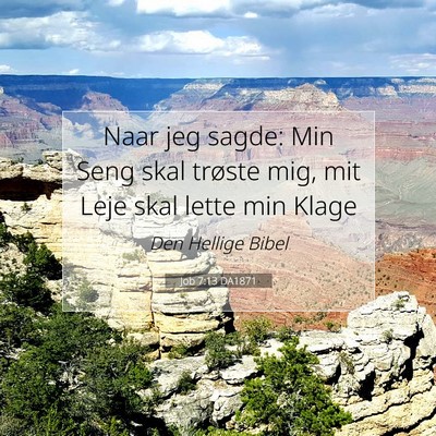 Picture 07 - Job 7:13 DA1871 - Naar jeg sagde: Min Seng skal trøste mig, mit - Bible Verse Picture