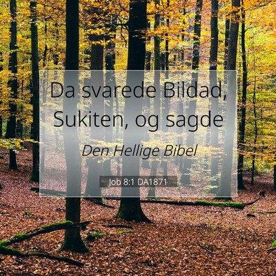 Picture 07 - Job 8:1 DA1871 - Da svarede Bildad, Sukiten, og - Bible Verse Picture